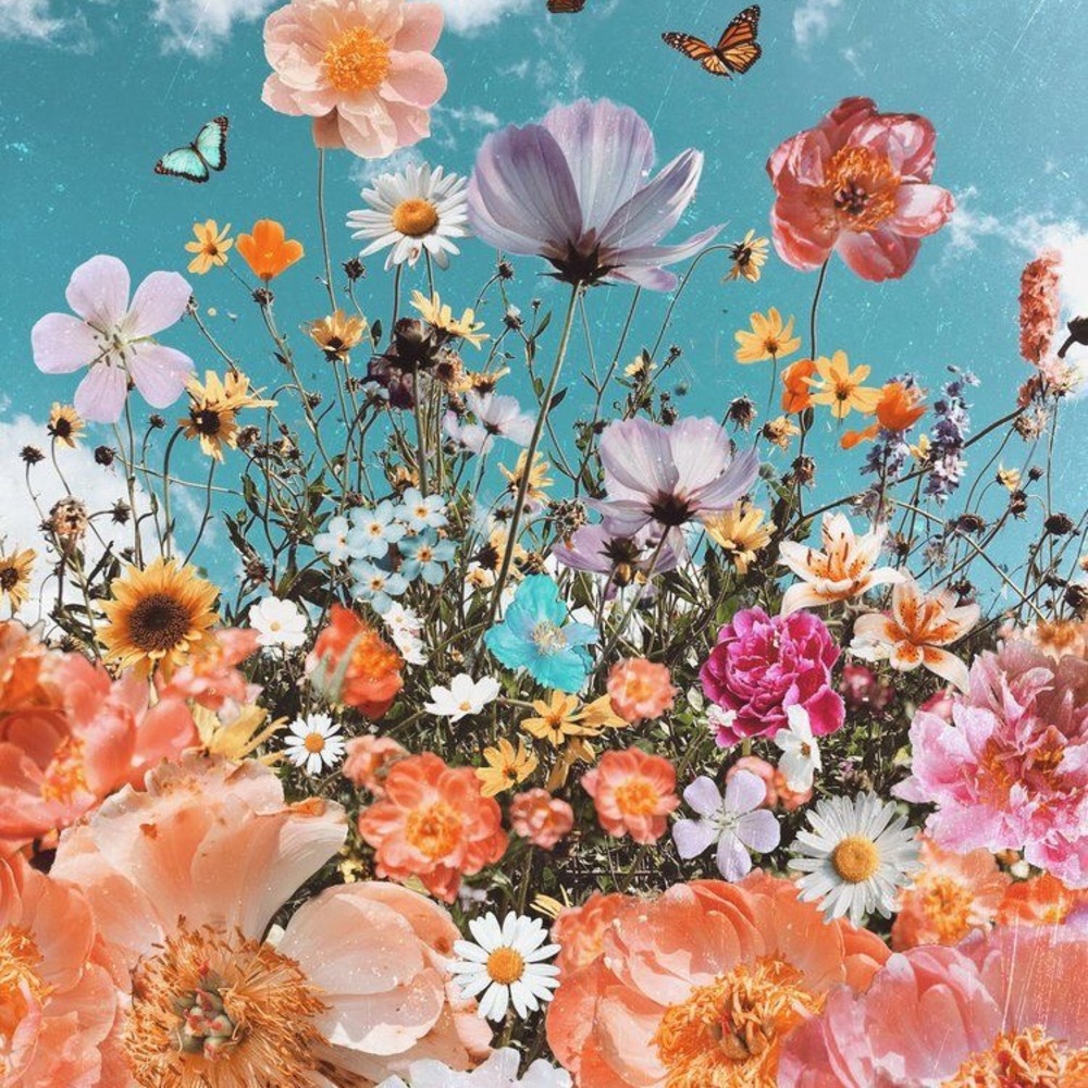 Meet your Posher, Wildflower